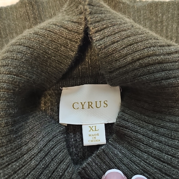 (3) NWOT Cyrus Women's Cowl & Turtlenecks Sweaters - Cream, Green, Gray - Picture 4 of 8